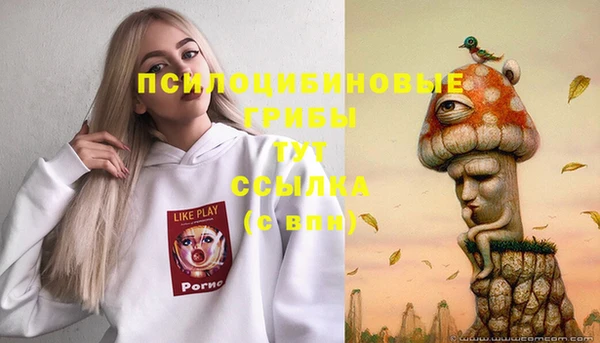 дурь Вязьма